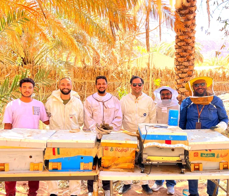 Team beside hives at the AlUla deployment